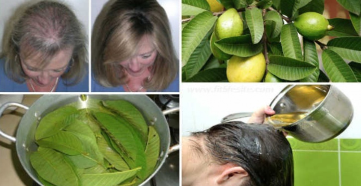Goyave : propriétés et bienfaits santé de ce fruit