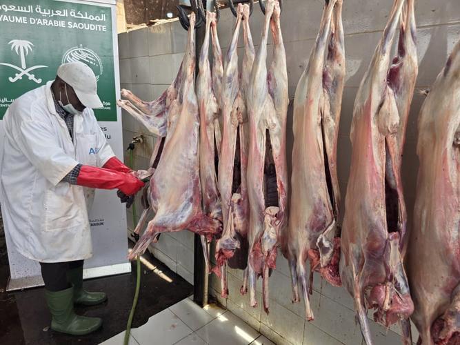 Le Centre Roi Salman pour le Secours et les Actions Humanitaires lance le projet de distribution de sacrifices au Mali pour l’année 2026.