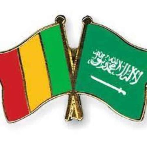 مركز الملك سلمان للإغاثة يختتم توزيع 28.500 سلة غذائية في جمهورية مالي
